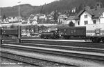 Waldshut 1980