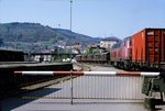 Waldshut 1984