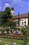 Rosengarten mit Schlosskirche