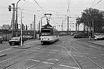 Mannheim